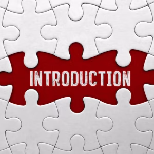 word-introduction-red-puzzle-background_132358-4767